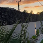Olive Fethiye